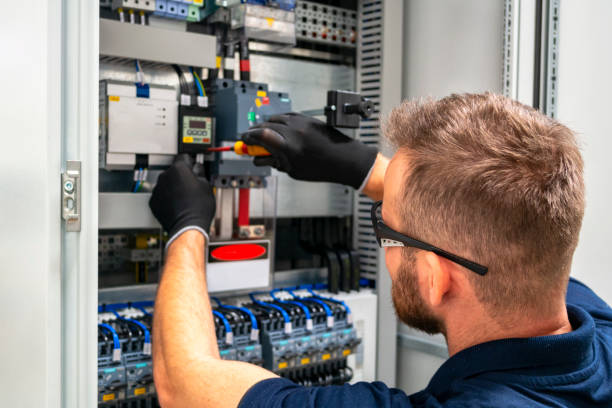 Best Electrical System Inspection  in South Rockwood, MI