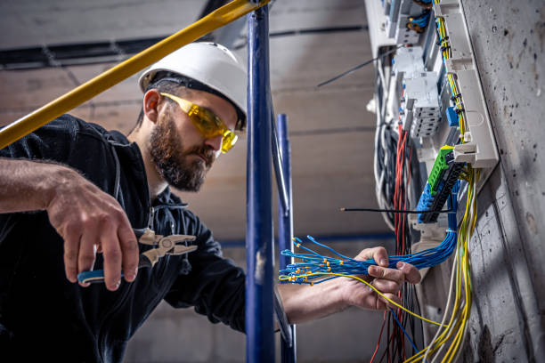 Best 24-Hour Electrician  in South Rockwood, MI