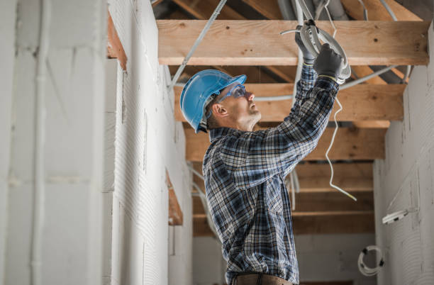 Best Electrical Upgrades for Homes  in South Rockwood, MI
