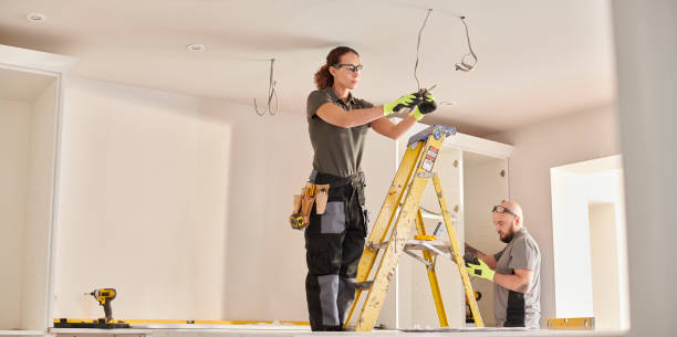 Best Electric Panel Repair  in South Rockwood, MI