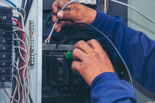Best Electrical Outlet Repair  in South Rockwood, MI