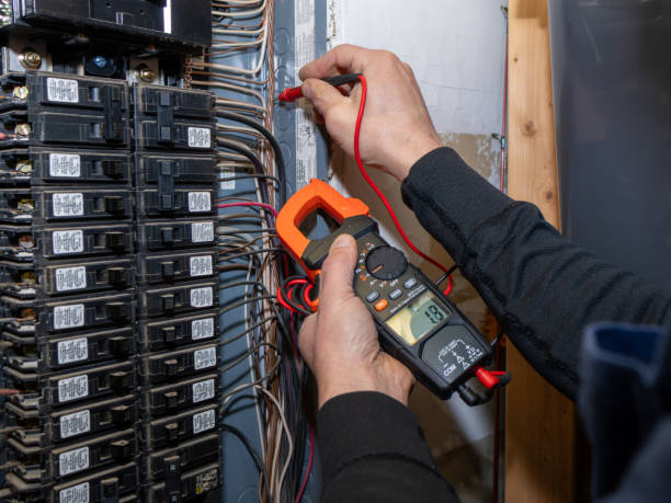 Best Generator Installation Services  in South Rockwood, MI