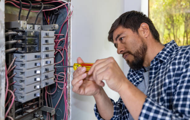 Best Affordable Electrician  in South Rockwood, MI
